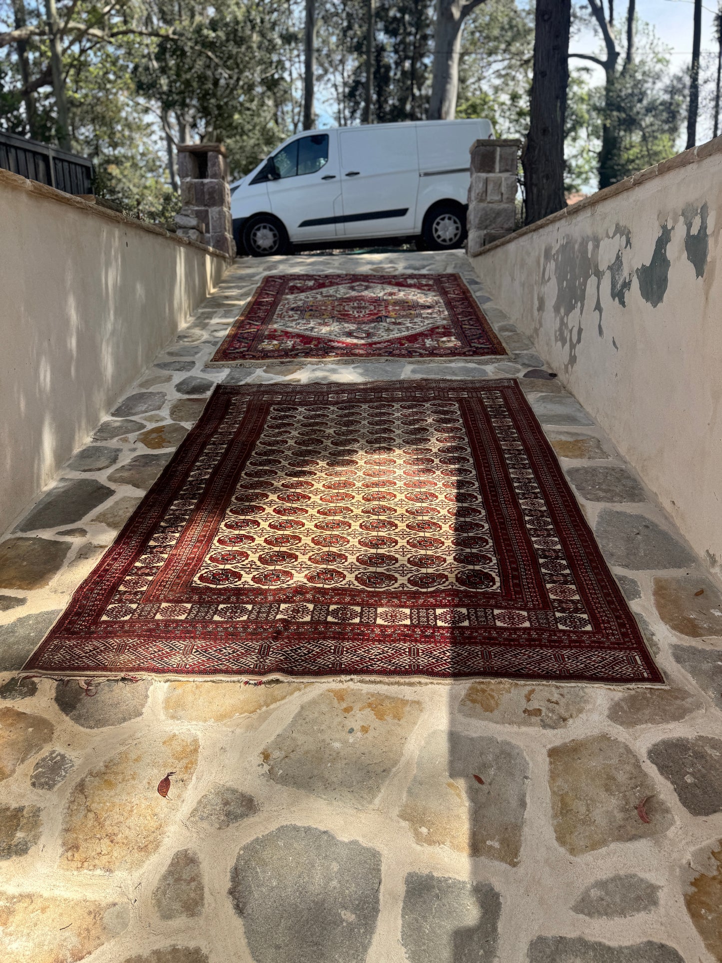 Bokhara Tekke Rug – 3.0 × 2.2 m
