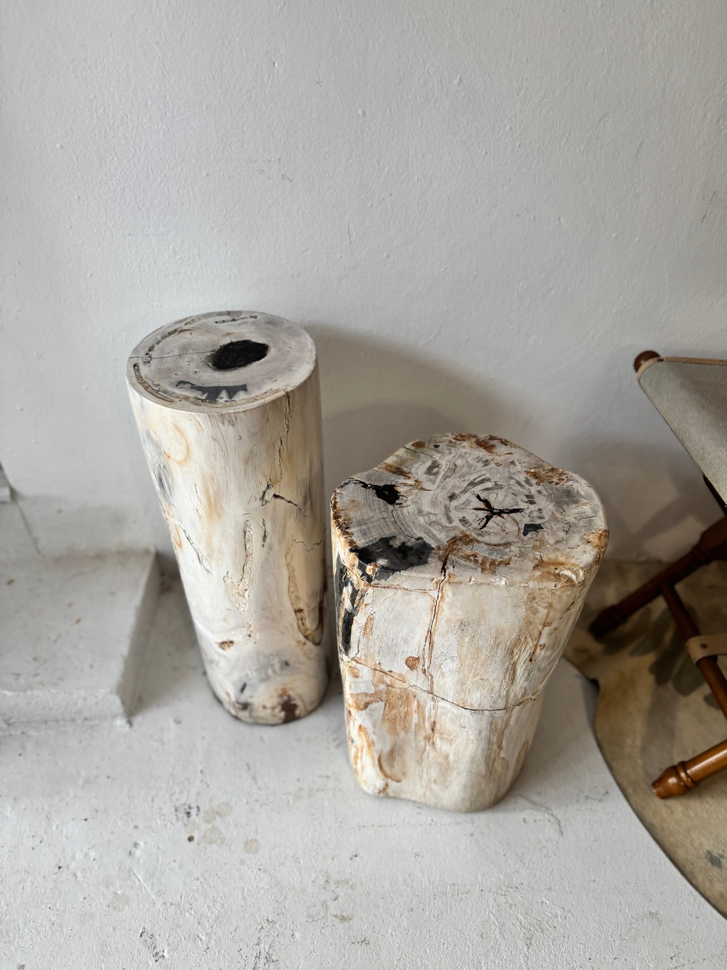 Petrified Wood Stools