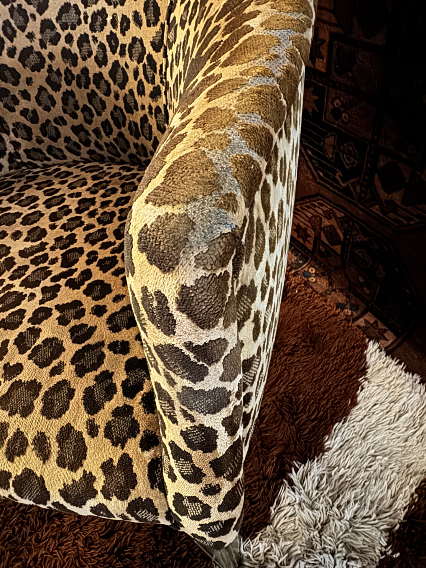 Vintage Leopard print Barrel Chair, 1950-1960. The "Janice"