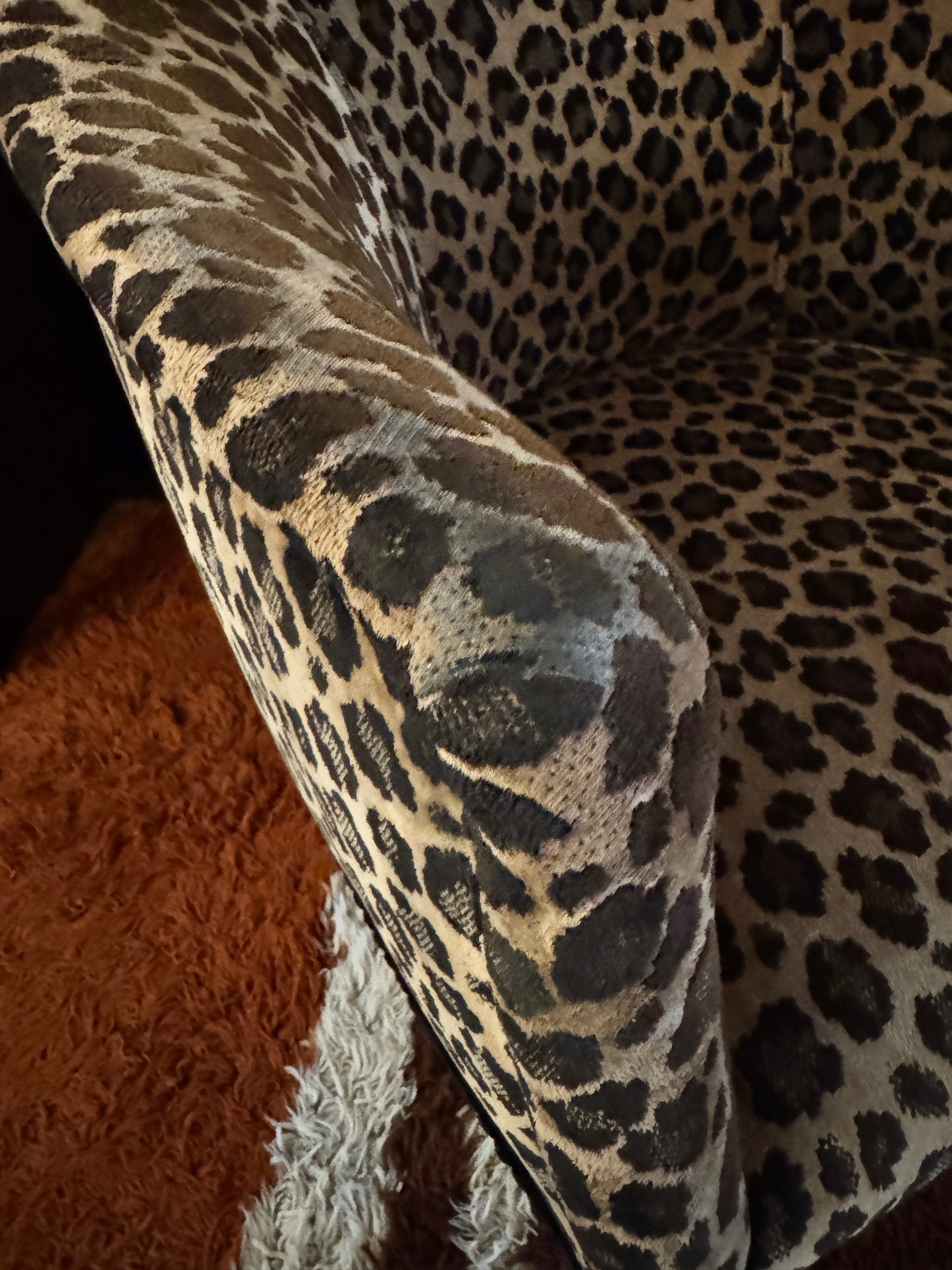 Vintage Leopard print Barrel Chair, 1950-1960. The "Janice"