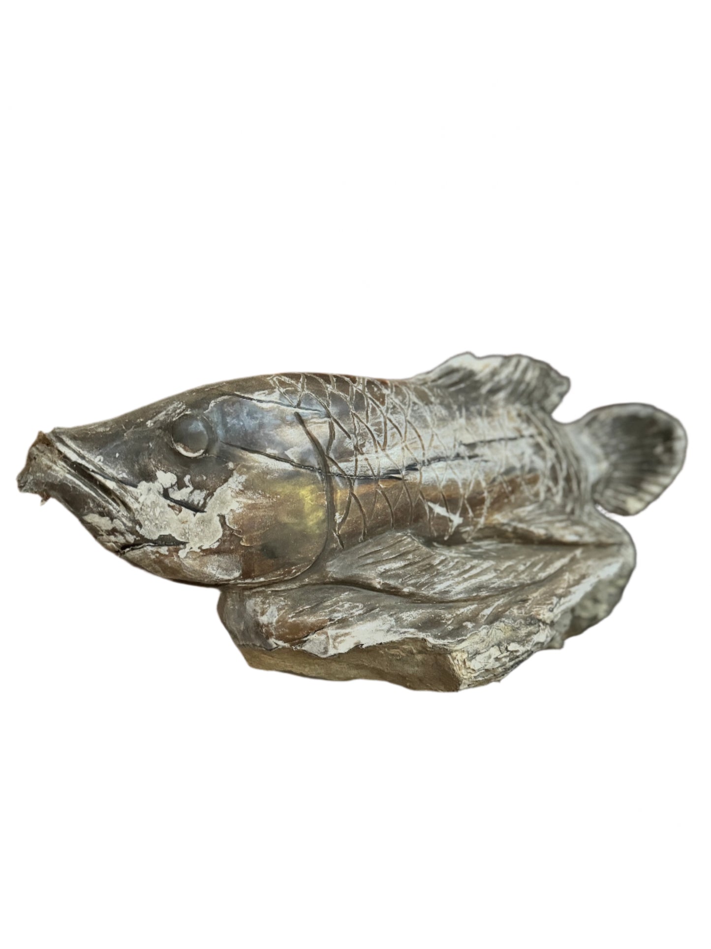 Hand carved petrified wood fish sculpture