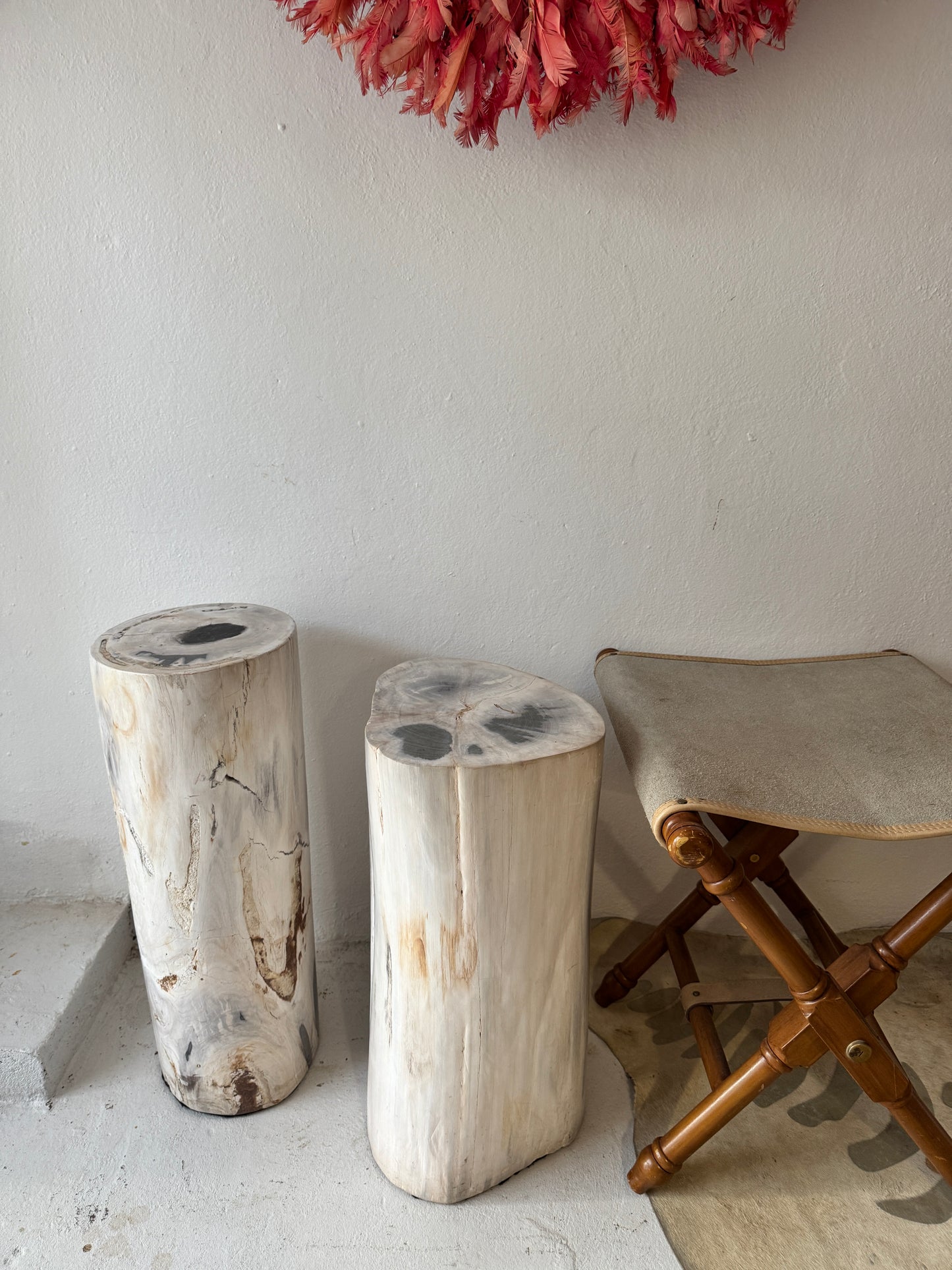 Petrified Wood Stools