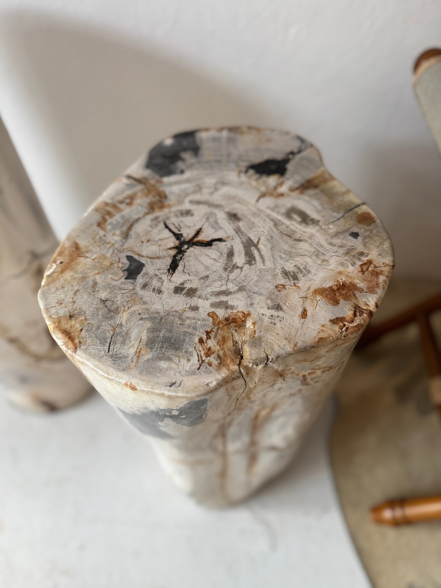 Petrified Wood Stools