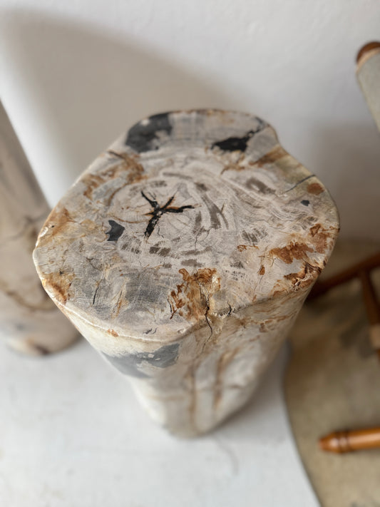 Petrified Wood Stools