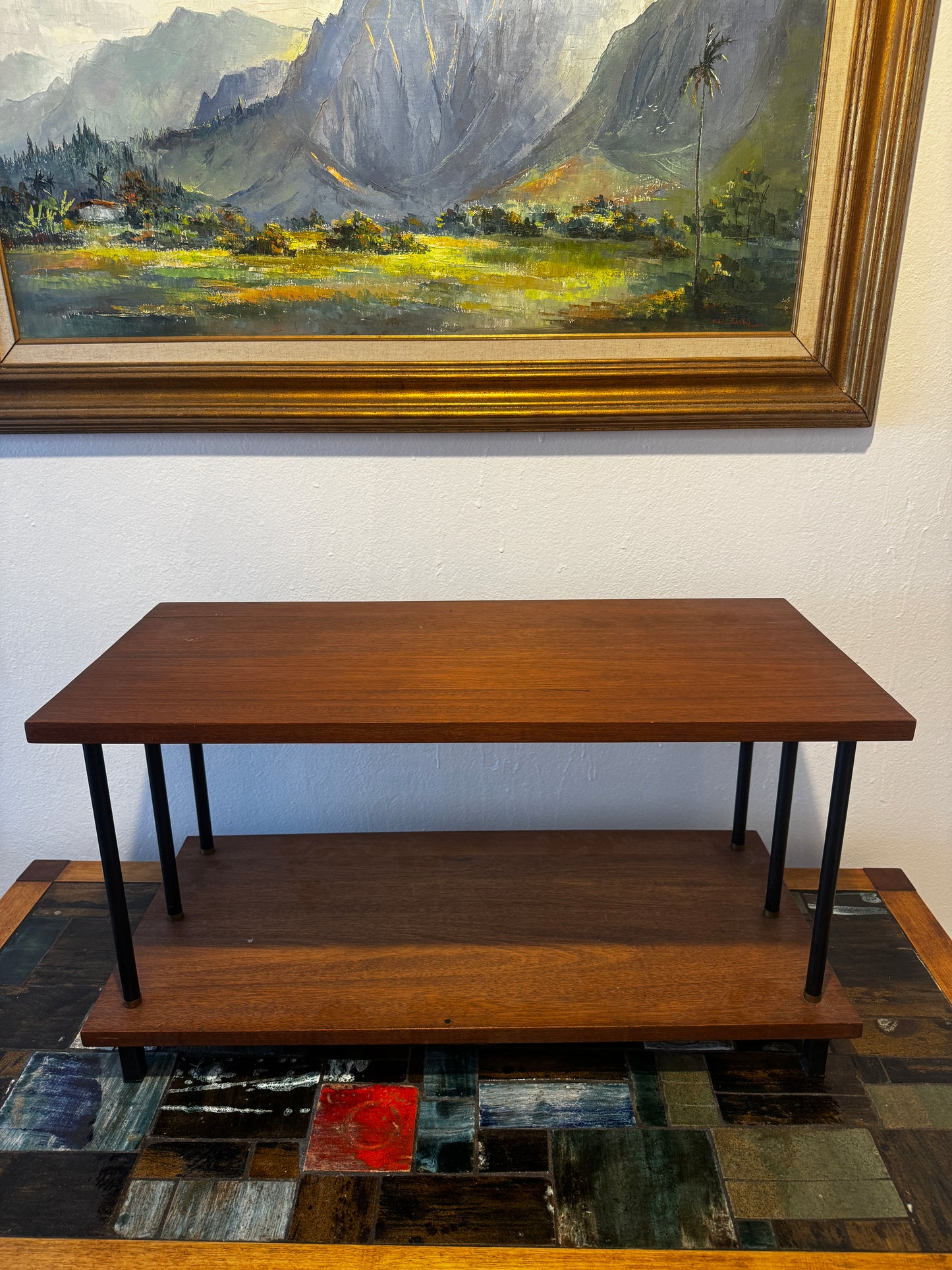 Laranda Mid-Century Modern Low Two-Tier Display Shelf • 1960s