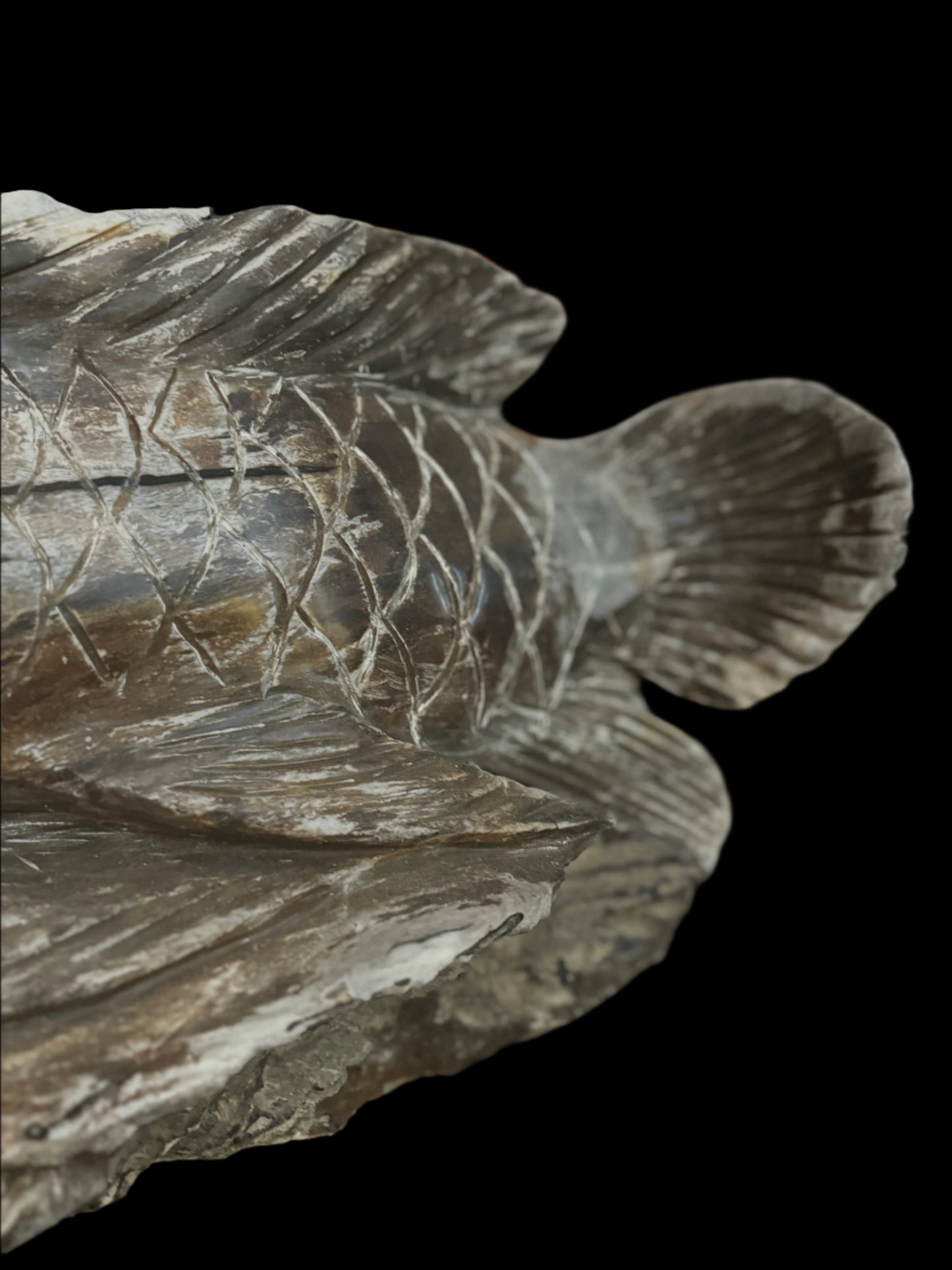 Hand carved petrified wood fish sculpture