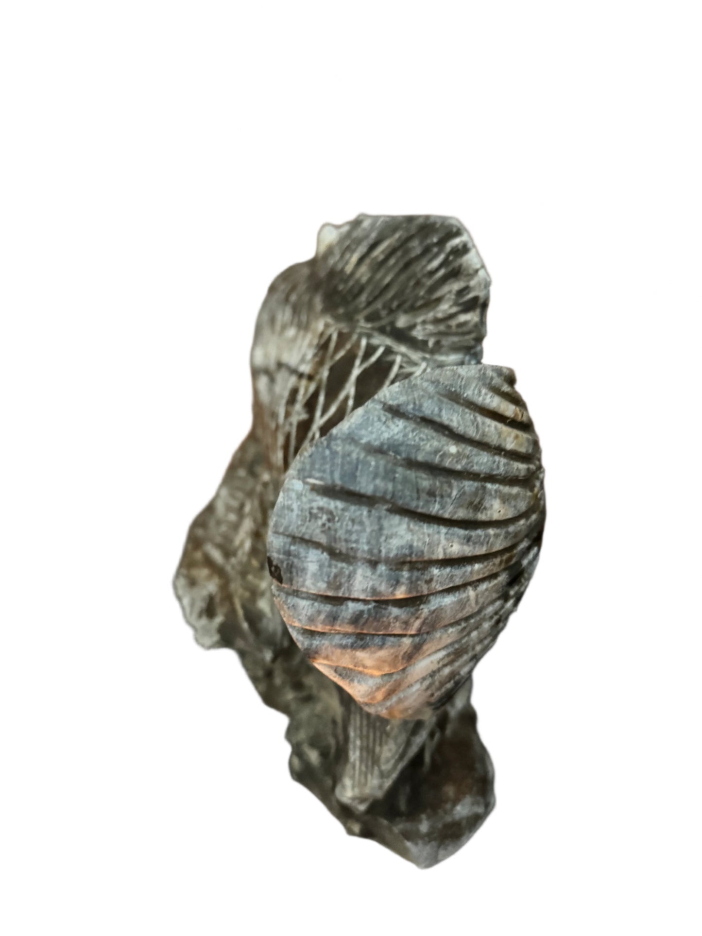 Hand carved petrified wood fish sculpture